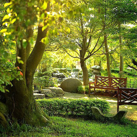 千樺花園餐廳